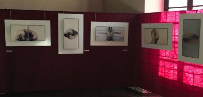 Alcune delle opere della serie “Capendo Adamo” esposte nel Castello.