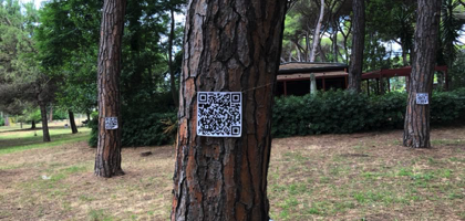 L’installazione di Nicola Bertoglio nel Museo Popolare della Pineta.